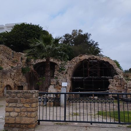 Appartement A Carthage Byrsa المظهر الخارجي الصورة