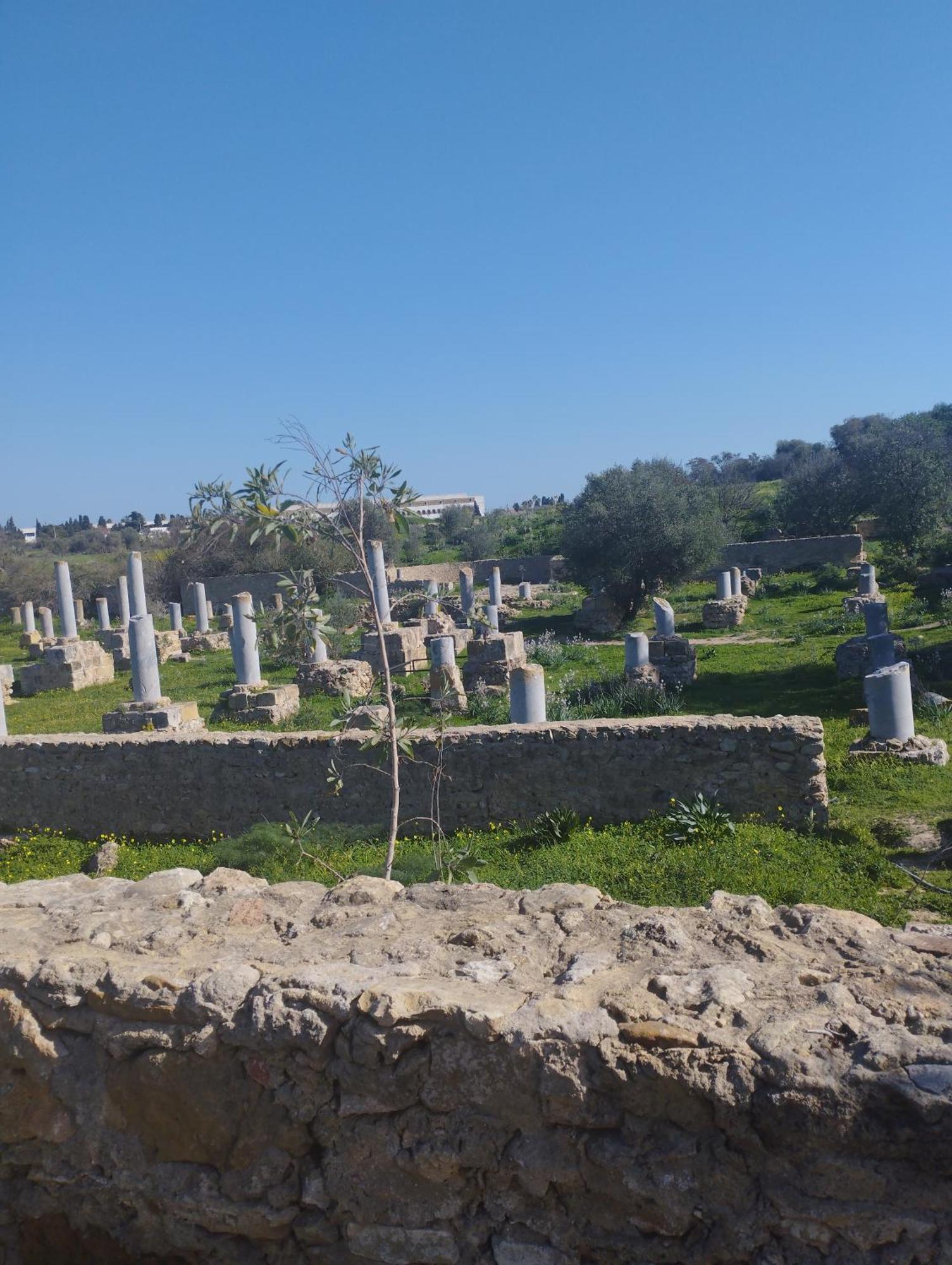 Appartement A Carthage Byrsa المظهر الخارجي الصورة